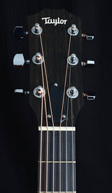 Taylor 214ce DLX Deluxe-Acoustic Guitars-Brian's Guitars