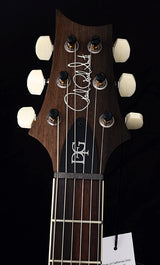 Paul Reed Smith Wood Library DGT Brian's Limited Copperhead Burst-Brian's Guitars