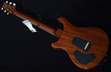 Paul Reed Smith Wood Library DGT Brian's Limited Copperhead Burst-Brian's Guitars