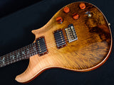 Paul Reed Smith Private Stock Custom 24 Dweezil-Brian's Guitars