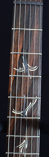 Paul Reed Smith Private Stock Custom 24 Dweezil-Brian's Guitars