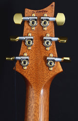 Paul Reed Smith Custom 24 Mash Green-Brian's Guitars