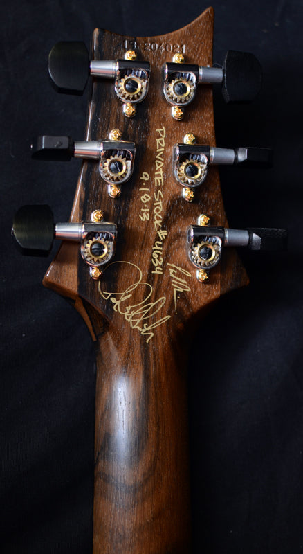 Paul Reed Smith Private Stock DGT Aqua Violet-Brian's Guitars