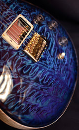 Used Paul Reed Smith Private Stock DGT Aqua Violet-Brian's Guitars