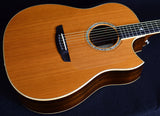 Used James Goodall Rosewood Standard Cutaway-Brian's Guitars