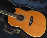Used James Goodall Rosewood Standard Cutaway-Brian's Guitars