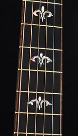 Used Taylor 914ce-Brian's Guitars