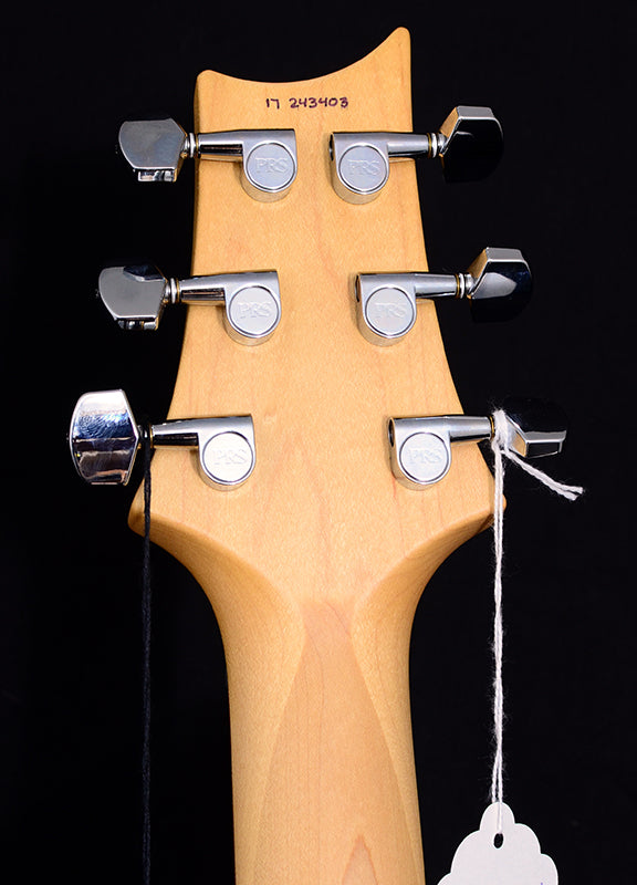 Paul Reed Smith CE-24 Custom Color Trampas Green Smokeburst-Brian's Guitars