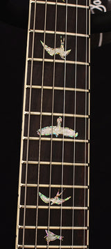 Paul Reed Smith Wood Library DGT Brian's Limited Aqua Purple Burst-Brian's Guitars