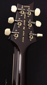 Paul Reed Smith Wood Library DGT Brian's Limited Aqua Purple Burst-Brian's Guitars