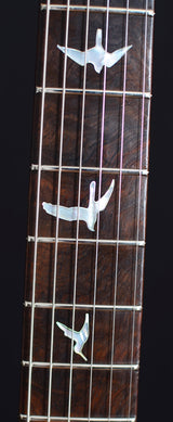 Paul Reed Smith Private Stock Custom 24 McCarty Thickness Tiger Eye Burst-Brian's Guitars