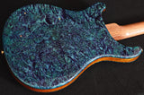 Paul Reed Smith Private Stock McCarty Northern Lights-Brian's Guitars