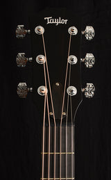 Taylor Custom Grand Pacific Running Horses Ziricote-Acoustic Guitars-Brian's Guitars