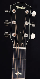 Used Taylor 612ce-Brian's Guitars