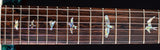Paul Reed Smith Private Stock McCarty Northern Lights-Brian's Guitars