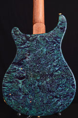 Paul Reed Smith Private Stock McCarty Northern Lights-Brian's Guitars