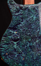 Paul Reed Smith Private Stock McCarty Northern Lights-Brian's Guitars