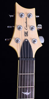 Paul Reed Smith SE 30th Anniversary Custom 24 Limited Trampas Green-Brian's Guitars