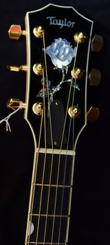 Used Taylor Doyle Dykes DDSM Grand Auditorium-Brian's Guitars