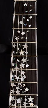 Paul Reed Smith Private Stock Custom 24 Nightfall Brian's Exclusive-Brian's Guitars