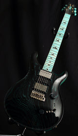 Paul Reed Smith Private Stock Custom 24 Swamp Eagle #2-Brian's Guitars