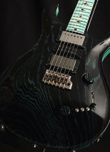 Paul Reed Smith Private Stock Custom 24 Swamp Eagle #2-Brian's Guitars