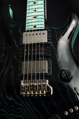 Paul Reed Smith Private Stock Custom 24 Swamp Eagle #2-Brian's Guitars