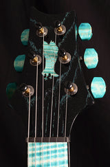 Paul Reed Smith Private Stock Custom 24 Swamp Eagle #2-Brian's Guitars