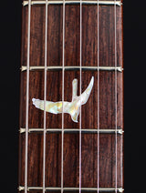 Paul Reed Smith Private Stock Hand Carved McCarty Metal-Brian's Guitars