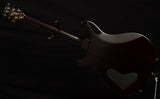 Paul Reed Smith Private Stock 35th Anniversary Dragon-Brian's Guitars