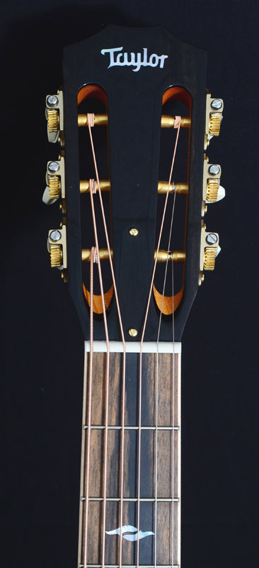 Taylor 812ce 12-Fret DLX Deluxe Series-Brian's Guitars