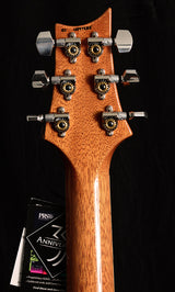 Paul Reed Smith Singlecut McCarty 594 Semi-Hollow Limited Aquamarine-Brian's Guitars