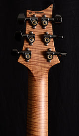 Paul Reed Smith Wood Library Custom 24 Floyd Brian's Limited Jade Green Burst-Brian's Guitars