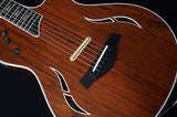 Taylor Custom T5z Cocobolo Road Show Limited Edition-Electric Guitars-Brian's Guitars
