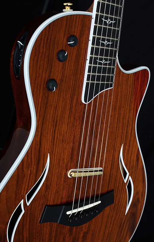 Taylor Custom T5z Cocobolo Road Show Limited Edition-Electric Guitars-Brian's Guitars