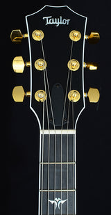 Taylor Custom T5z Cocobolo Road Show Limited Edition-Electric Guitars-Brian's Guitars