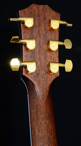 Taylor Custom T5z Cocobolo Road Show Limited Edition-Electric Guitars-Brian's Guitars