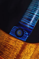 Paul Reed Smith Private Stock Custom 24 Walking Zombie #2-Brian's Guitars