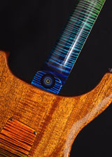 Paul Reed Smith Private Stock Custom 24 Walking Zombie #2-Brian's Guitars