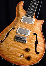 Used Paul Reed Smith Private Stock Dweezil Zappa Custom 24 Semi-Hollow Limited-Brian's Guitars