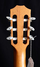 Taylor Academy 12e-N Nylon-Brian's Guitars