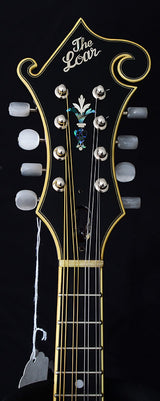 USED THE LOAR LM-500-VS-Brian's Guitars