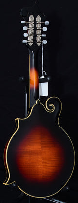 USED THE LOAR LM-500-VS-Brian's Guitars