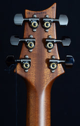 Paul Reed Smith Wood Library Custom 24 Satin Eriza Verde Smokeburst-Brian's Guitars