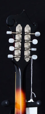 USED THE LOAR LM-500-VS-Brian's Guitars