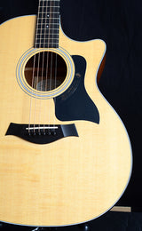 Taylor 316ce-Acoustic Guitars-Brian's Guitars