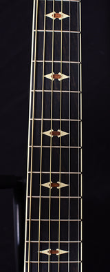 Used Taylor 616ce Ebony Limited-Brian's Guitars