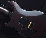 Paul Reed Smith Wood Library Custom 24 Satin Black Gold Burst-Brian's Guitars