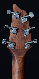 Used Breedlove Pursuit Concert Blackwood Sunburst-Brian's Guitars