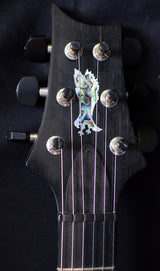 Used Paul Reed Smith Private Stock Custom 22 Semi-Hollow Purple Mist-Brian's Guitars